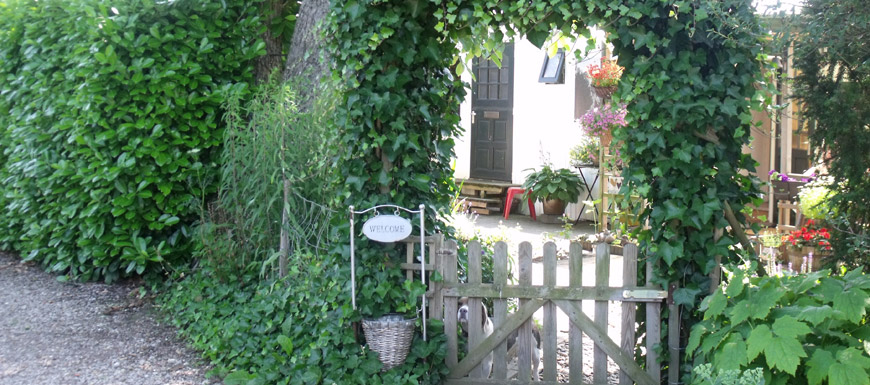 Camping Pluimerskamp — photo 3